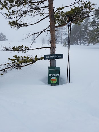 Trimboksbesøk 2019/2020
